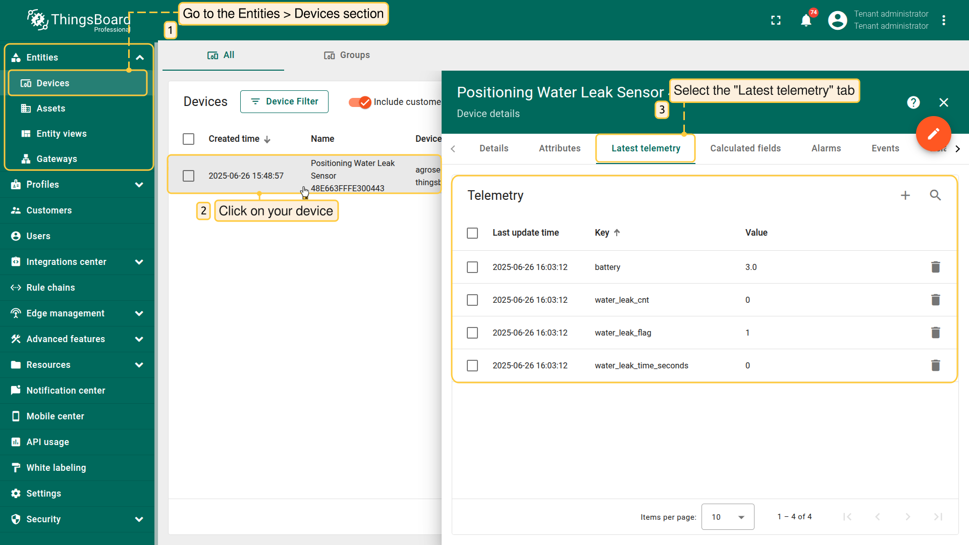 LoRaWAN device data