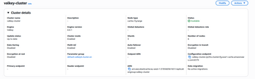 AWS ElastiCache Details