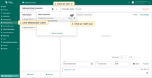 Go to the WebSocket Client page and click on the arrow icon to expand the list of connections.