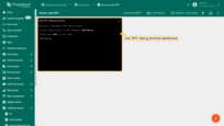Use RPC debug terminal widget in your SENTIENT instance