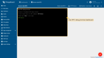 Use RPC debug terminal widget in your SENTIENT instance