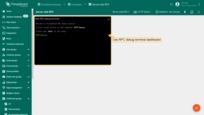 Use RPC debug terminal widget in your SENTIENT instance