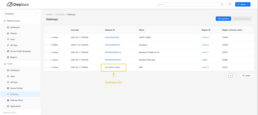 Verify the gateway's status on ChirpStack, it should now appear online.