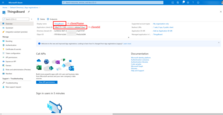 Now we are on the Overview page, where we can find the Application (client) ID and the Client name that we specified earlier.