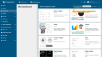 Click <b>Import widget</b> in the top‑right corner.